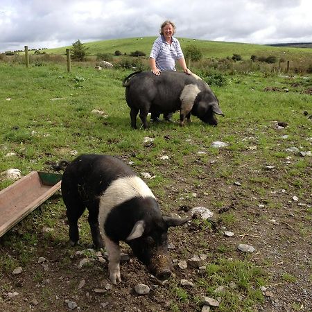 Burren Glamping Villa Kilfenora Luaran gambar
