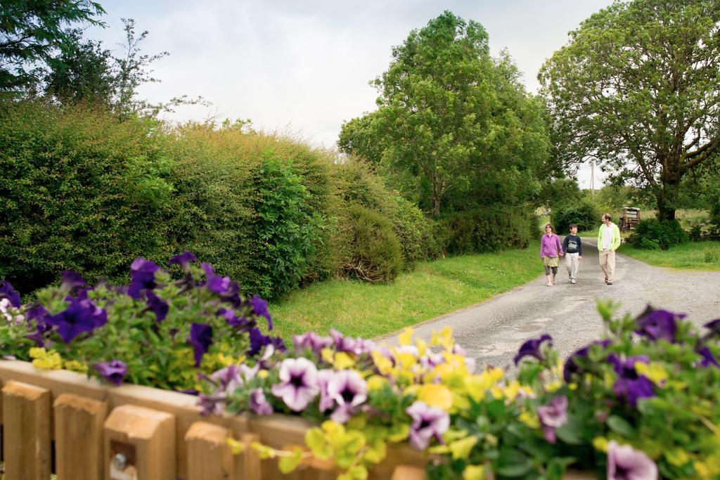 Burren Glamping Villa Kilfenora Luaran gambar